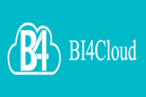 BI4Cloud EDI services