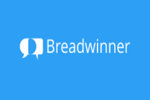 Breadwinner for Salesforce EDI services