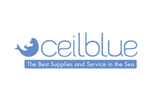 CeilBlue EDI services