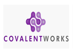 CovelantWorks Data Integrator EDI services