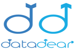 DataDear EDI services