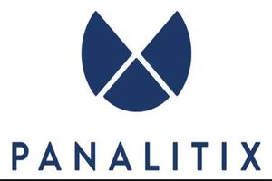 Panalitix EDI services