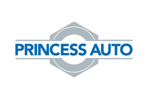 PRINCESS AUTO  EDI services