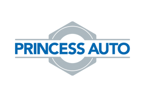 PRINCESS AUTO EDI services