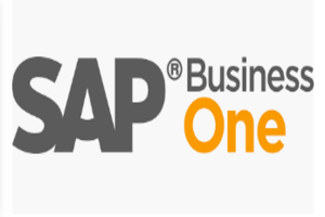 SAP Business One EDI services