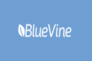 BlueVine EDI services