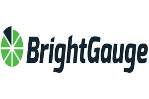 BrightGauge EDI services