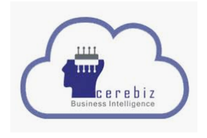 Cerebiz Dashboard EDI services