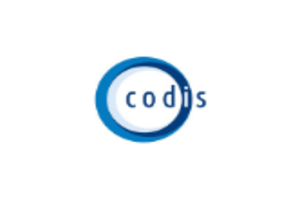 Codis Excelerator EDI services