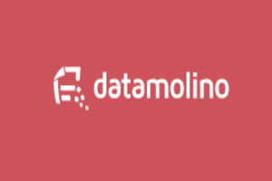 Datamolino EDI services