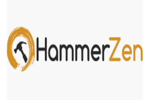 HammerZen EDI services