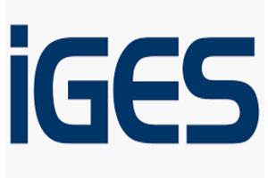 iGes EDI services