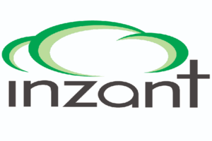 Inzant Websites EDI services