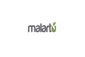 Malartu EDI services