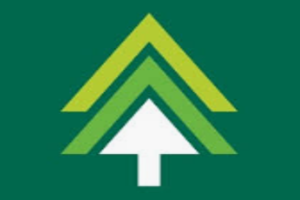nTree Timesheets EDI services
