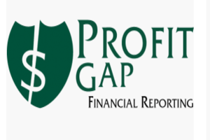 Profit Gap EDI services