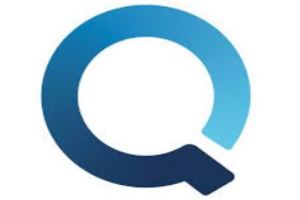 Q by TEAM Software EDI services