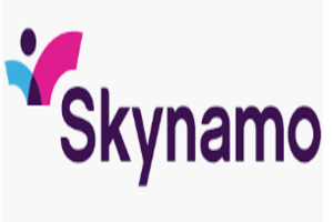 Skynamo EDI services