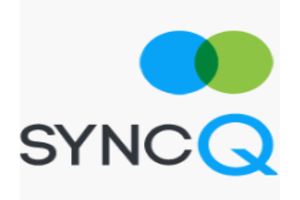 Sync - Ultimate Salesforce Automation  EDI services