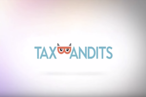 TaxBandits EDI services