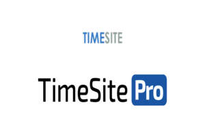 TimeSite Pro EDI services