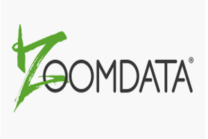 Zoomdata EDI services